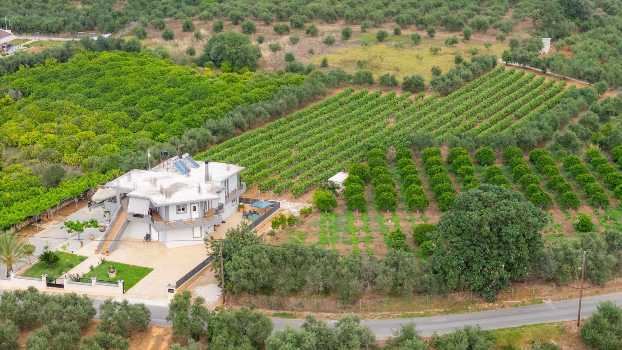 Ampelos Perivolia  Exterior photo