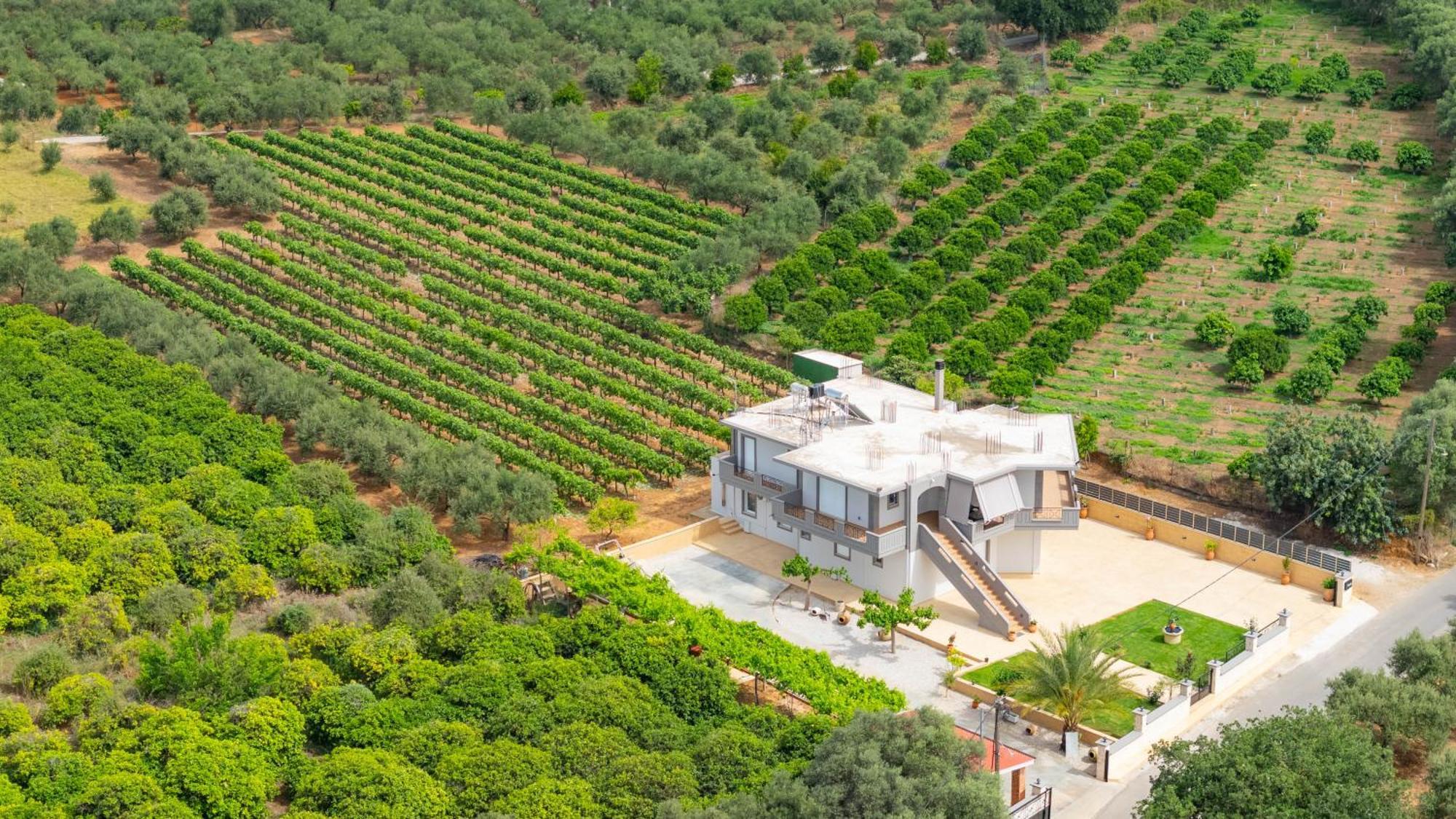 Ampelos Perivolia  Exterior photo